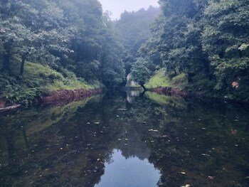 simba jungle lodge binsar wildlife sanctuary