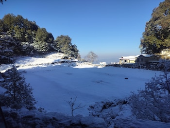 simba jungle lodge binsar wildlife sanctuary