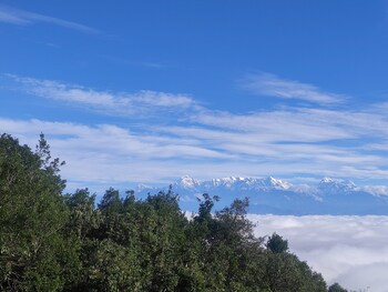simba jungle lodge binsar wildlife sanctuary