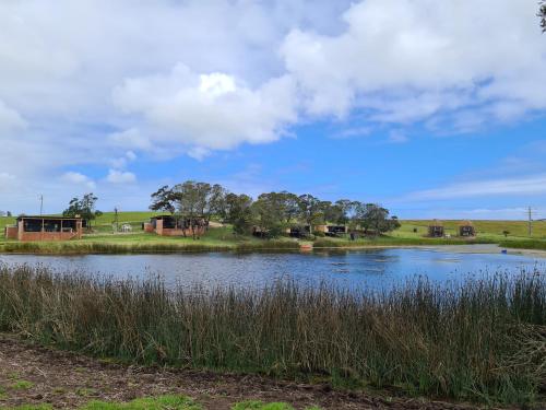buff and fellow eco cabins