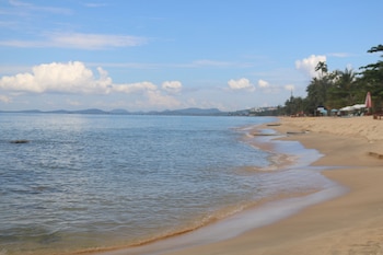 vida loca resort and sunset beach