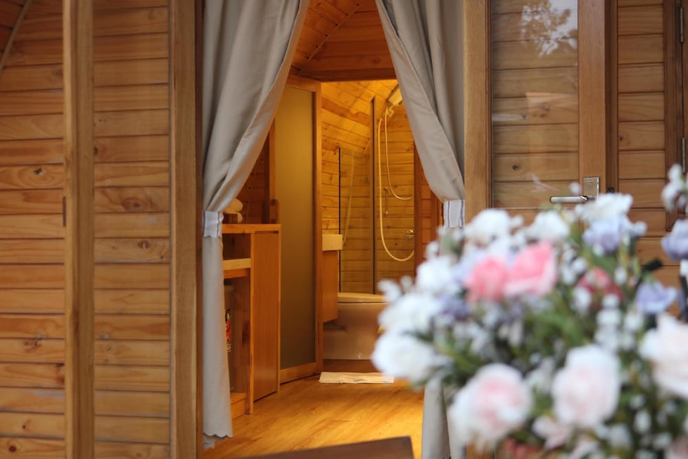 vida loca resort and sunset beach