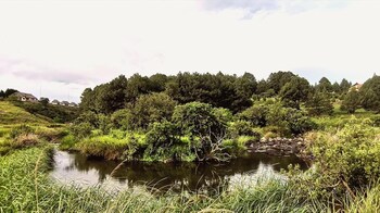 otters den self catering cottages