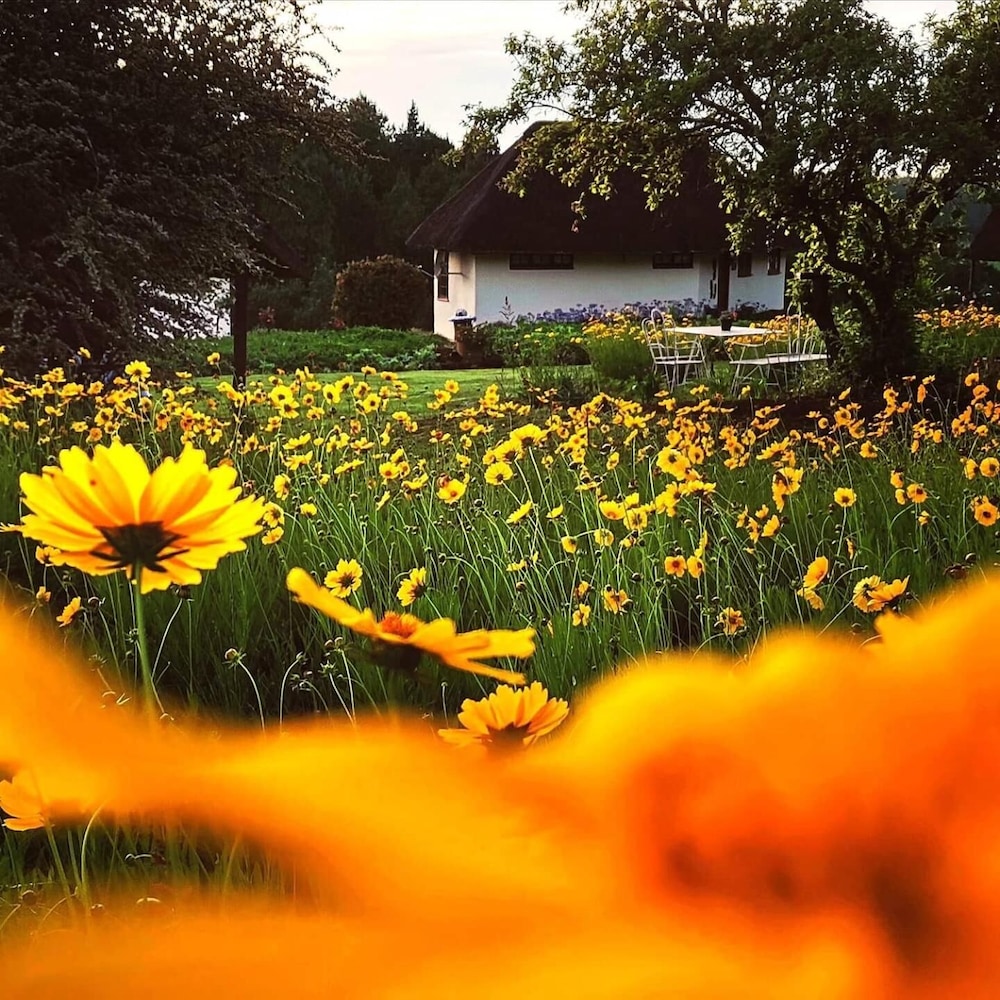 otters den self catering cottages
