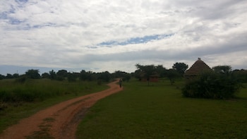 pakwach