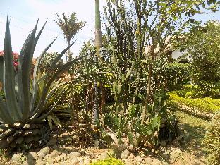 ishaka