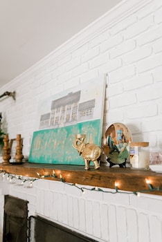 georgia palms and gardens