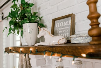 georgia palms and gardens