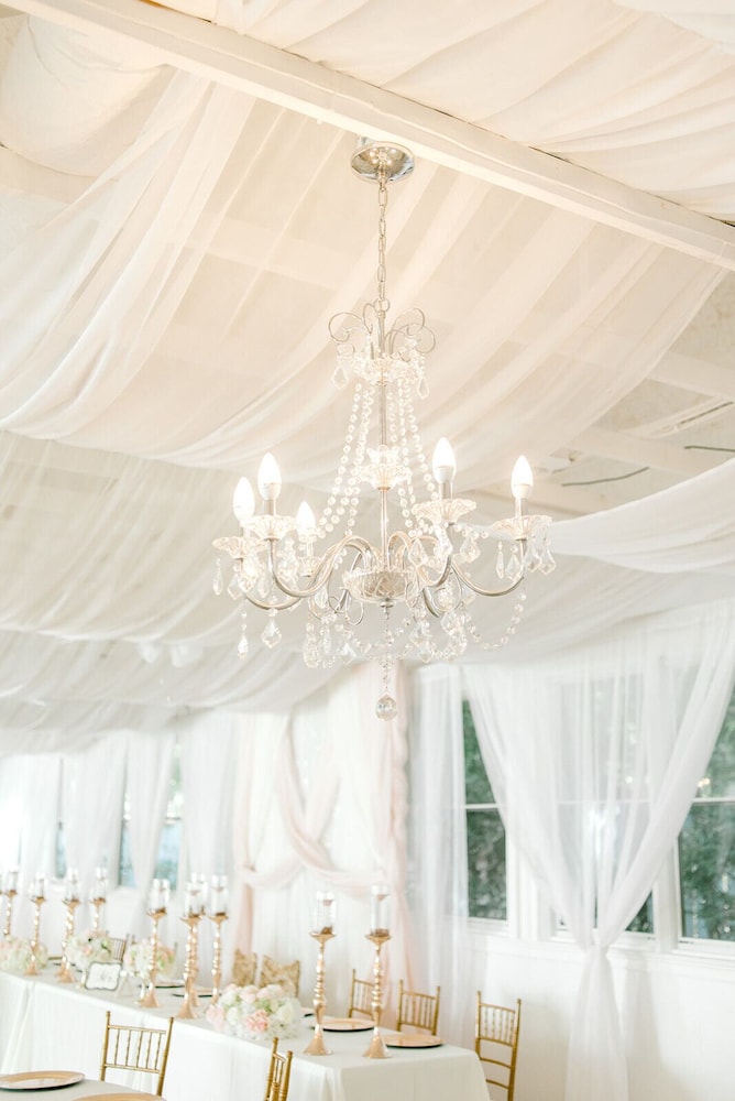 georgia palms and gardens