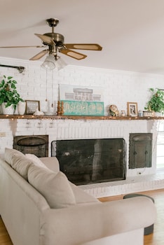 georgia palms and gardens