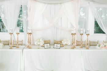 georgia palms and gardens