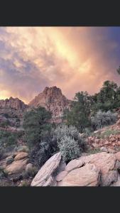zion cliff lodge