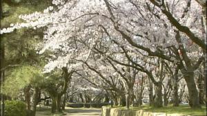 dormy inn kurashiki natural hot spring