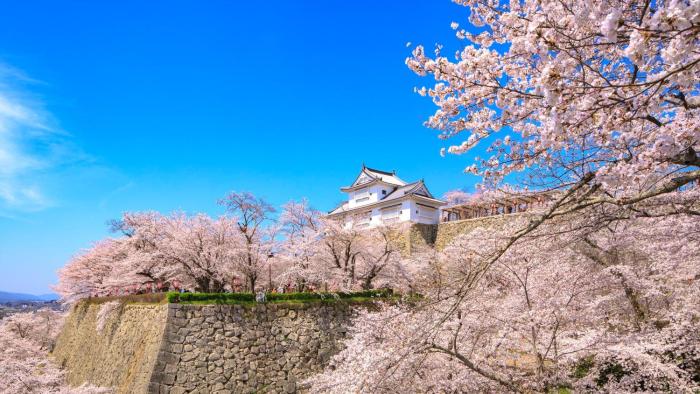 ana crowne plaza okayama by ihg