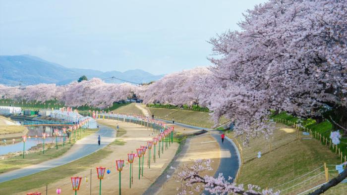 ana crowne plaza okayama by ihg