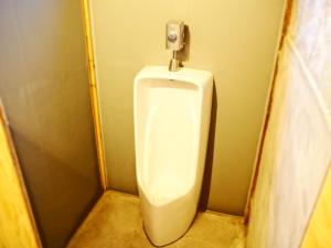 trip base coconeel hostel