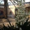 Pao Blau,Palau-Saverdera>>Girona,2.5 star