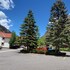 ouray