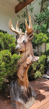 ouray