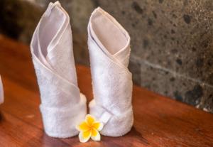 villa waturenggong ubud