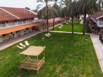 migdal