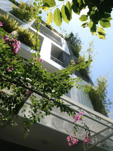 lems apartment and coffee