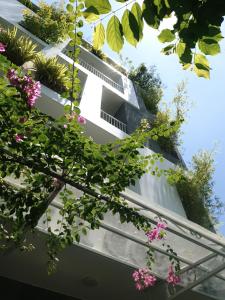 lems apartment and coffee