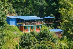 jungle crown organic homestay