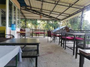 jungle crown organic homestay