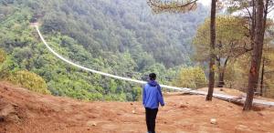 jungle crown organic homestay