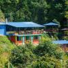 jungle crown organic homestay