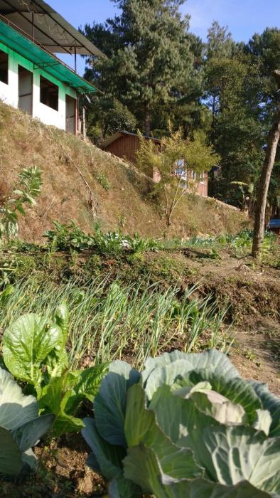 mahamanjushree nagarkot