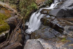 mahamanjushree nagarkot