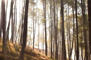 mahamanjushree nagarkot