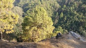 mahamanjushree nagarkot