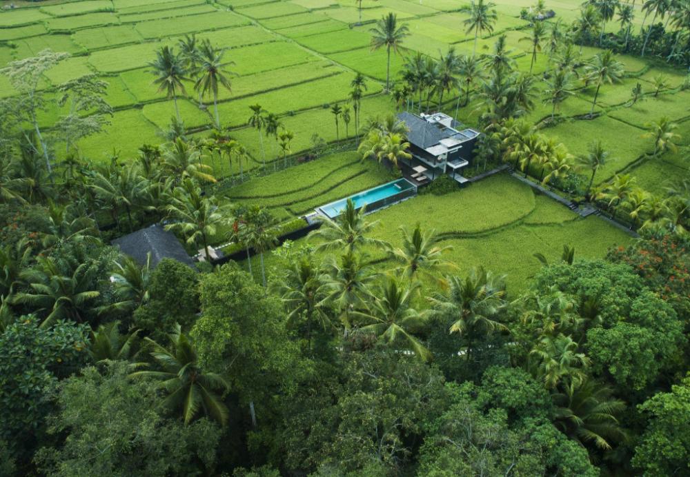 ubud