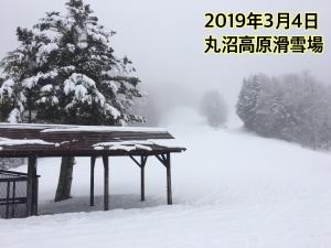 pension poka poka