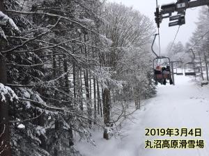 pension poka poka