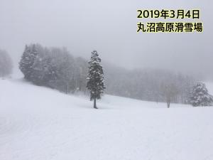 pension poka poka