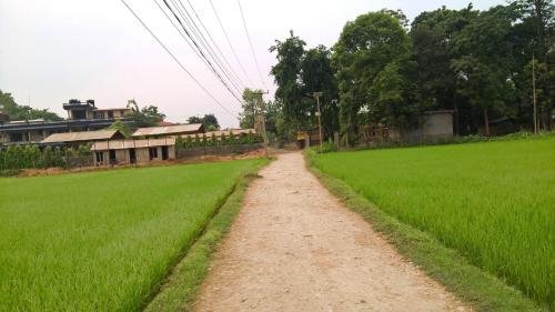 tharu community lodge