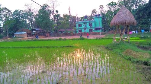 tharu community lodge