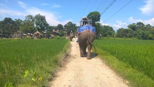 tharu community lodge