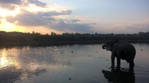 tharu community lodge