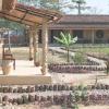 tharu community lodge
