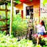 ha giang
