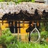 ha giang