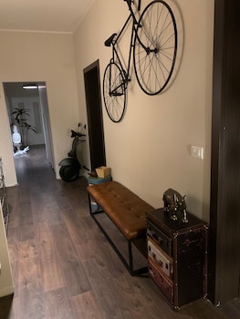 suite lame 37