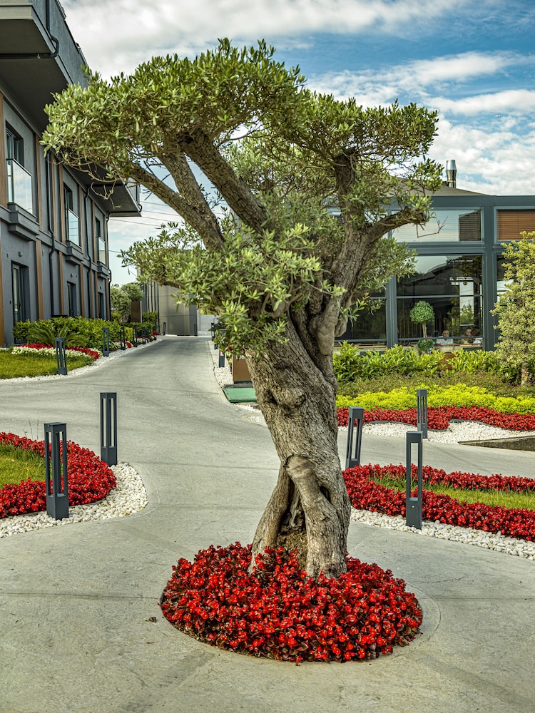 menalo hotel premium istanbul airport