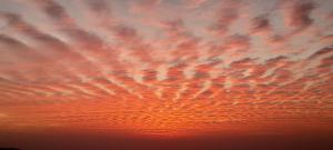 mahamanjushree nagarkot