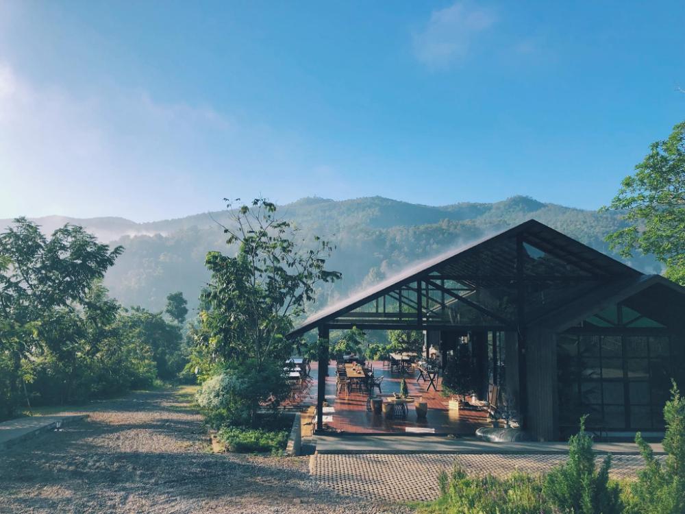 campiness camping and farmsook